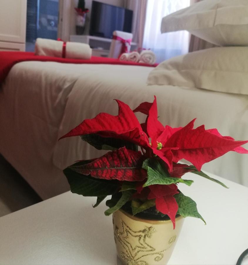 L' Albero Di Giada Bed & Breakfast Caserta Luaran gambar