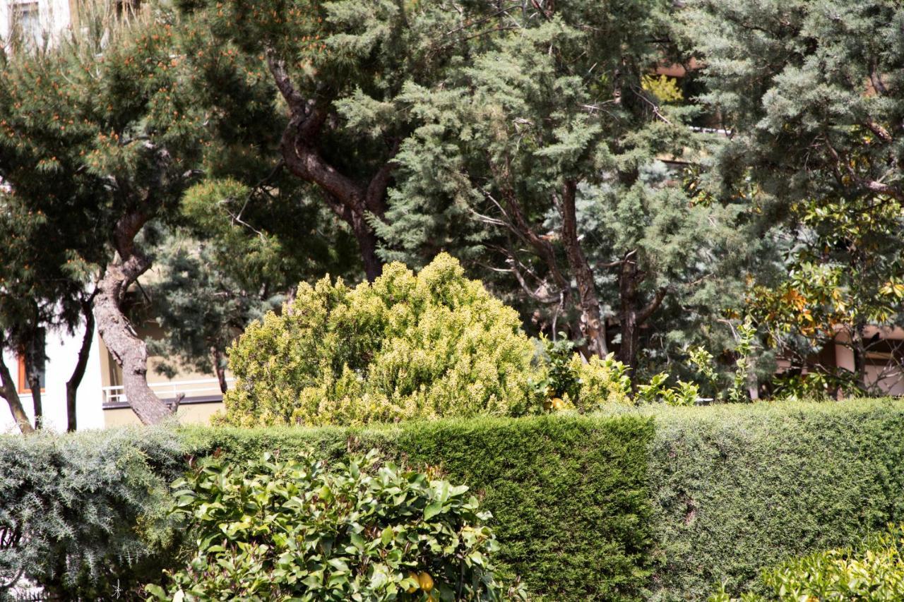 L' Albero Di Giada Bed & Breakfast Caserta Luaran gambar